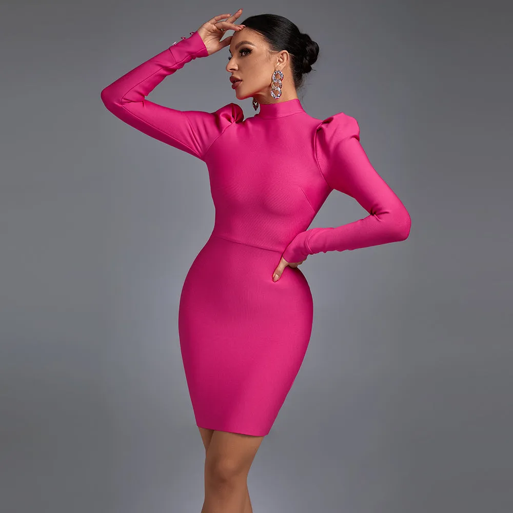 High Neck Long Sleeve Plain Mini Bandage Dress